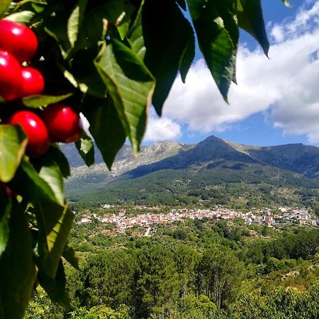 Albareilla By #Cherrygredos El Arenal  Eksteriør bilde