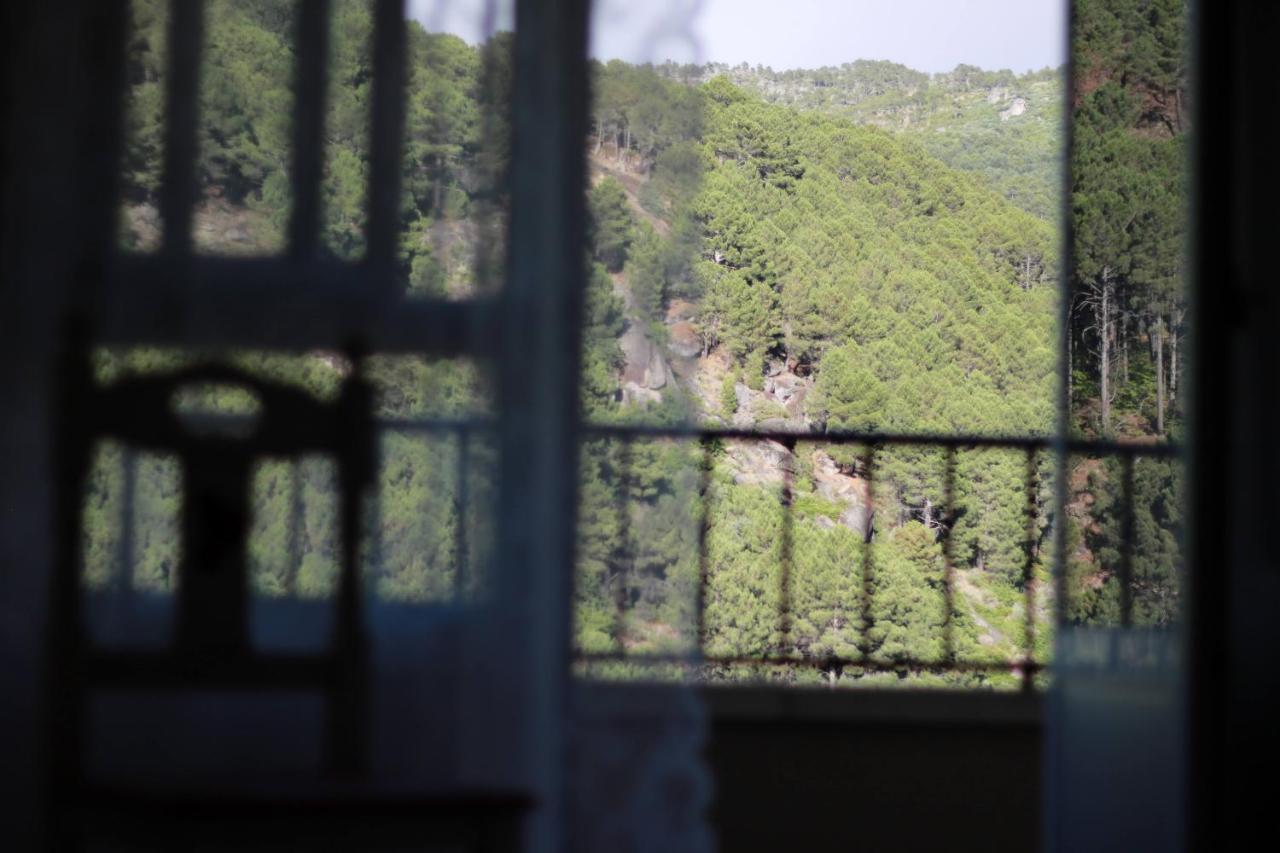 Albareilla By #Cherrygredos El Arenal  Eksteriør bilde
