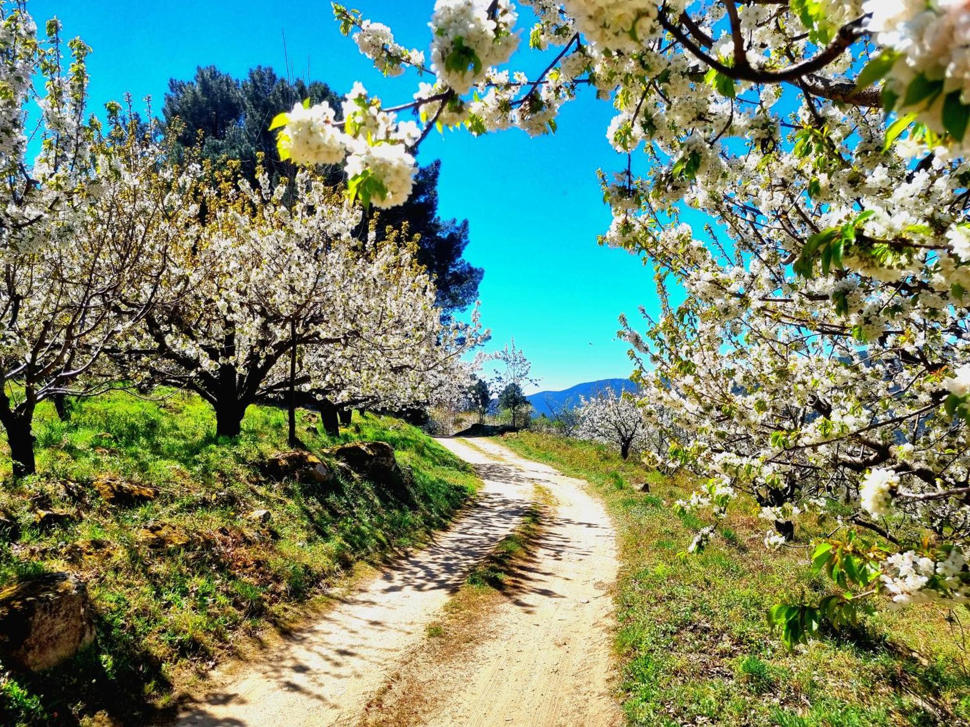 Albareilla By #Cherrygredos El Arenal  Eksteriør bilde