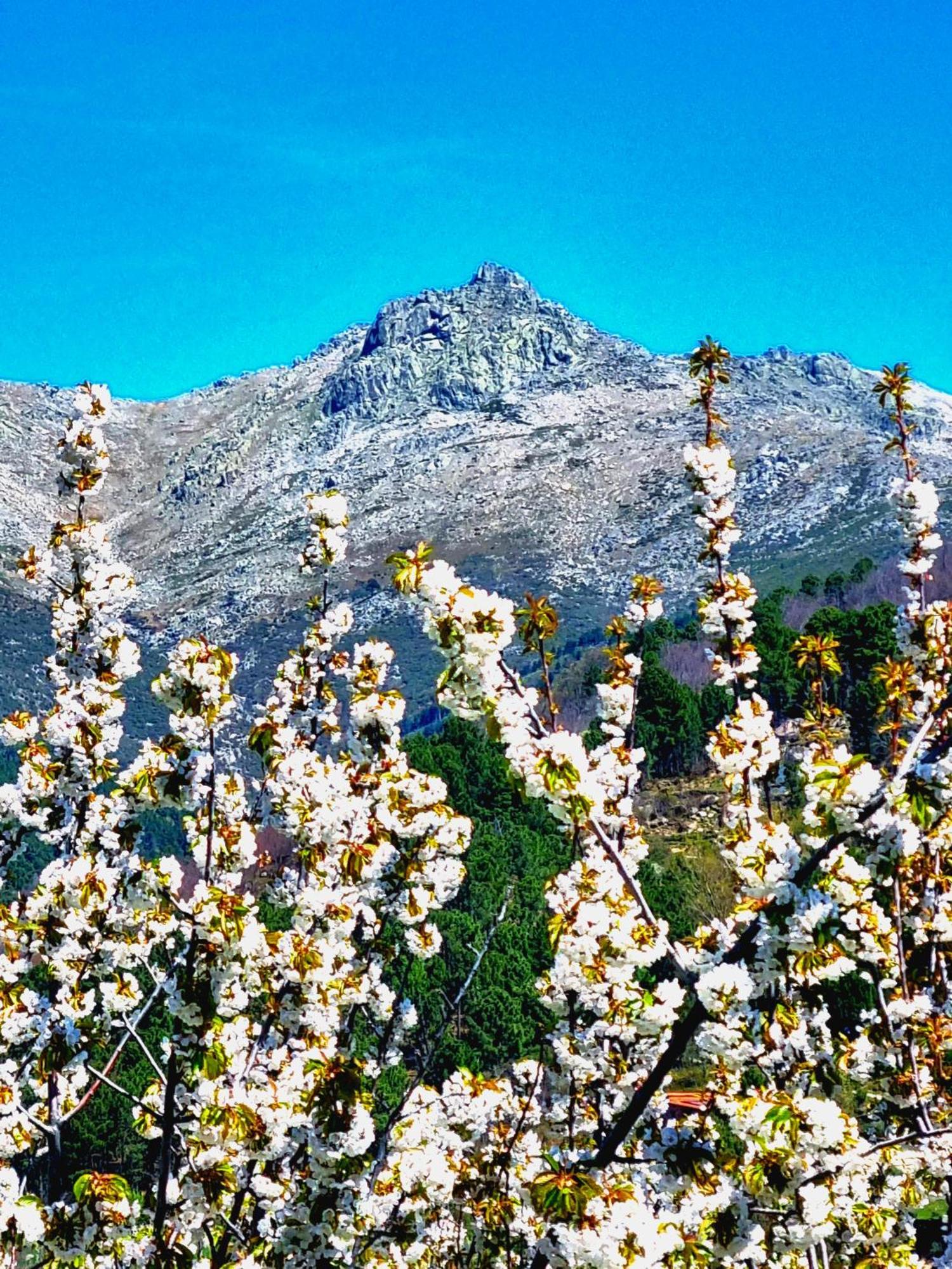 Albareilla By #Cherrygredos El Arenal  Eksteriør bilde