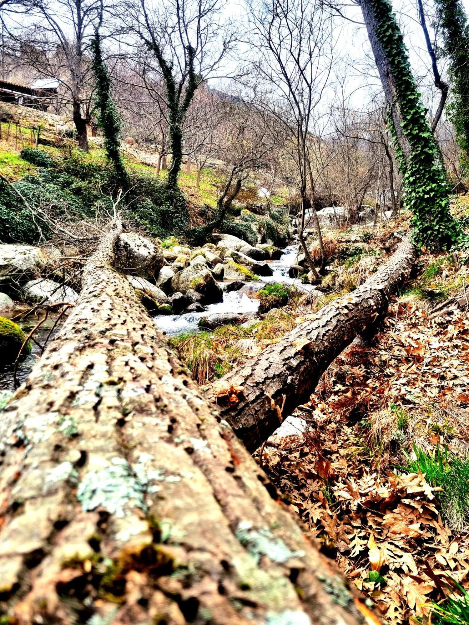 Albareilla By #Cherrygredos El Arenal  Eksteriør bilde