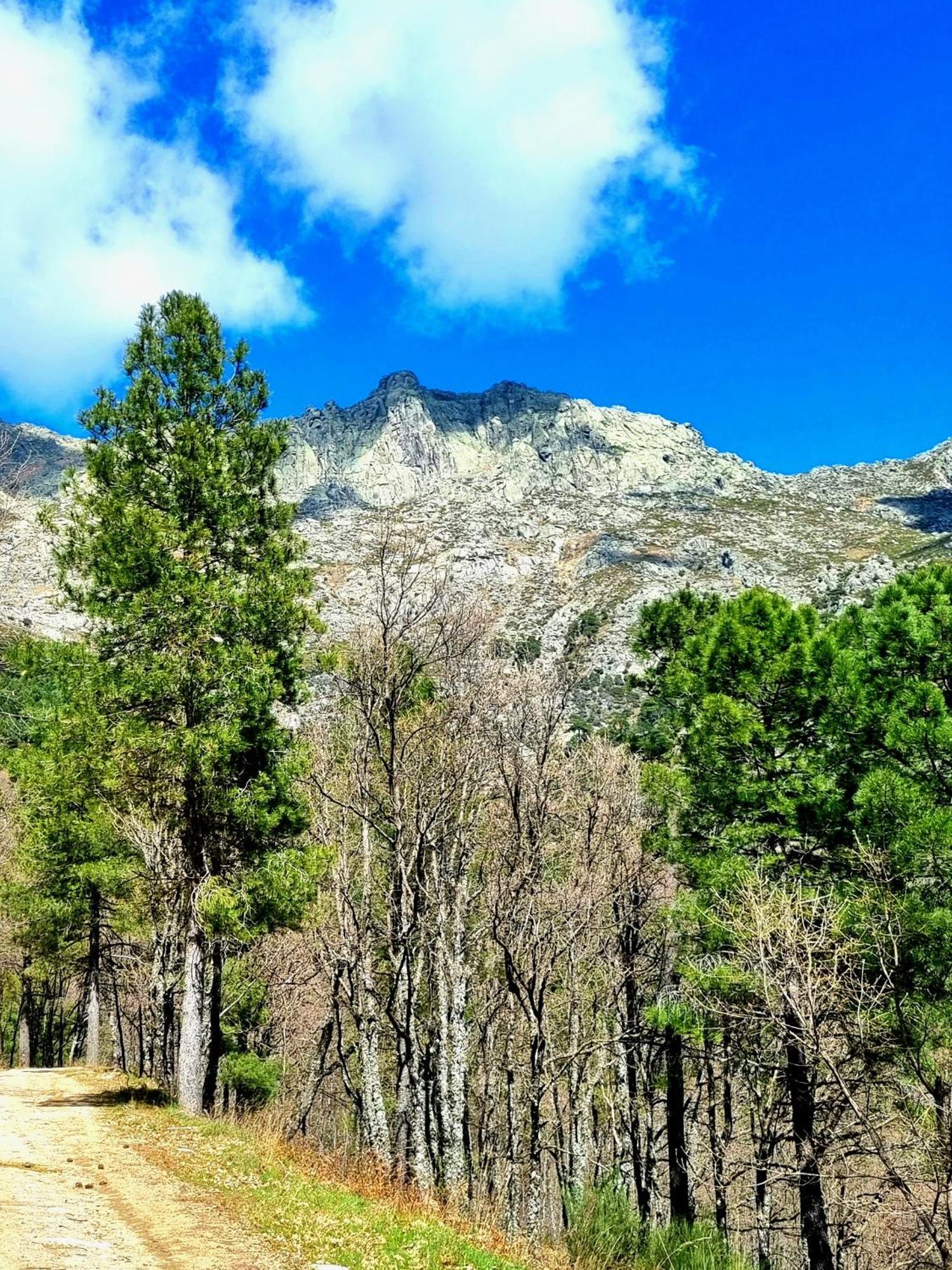 Albareilla By #Cherrygredos El Arenal  Eksteriør bilde